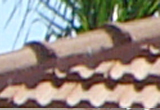 Example Marsigliese Tile